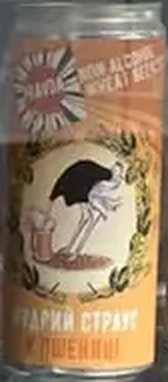 Wise Ostrich